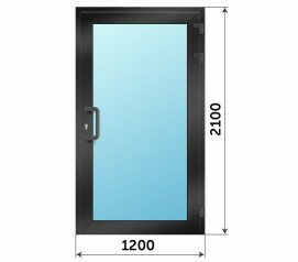 Пластиковая остекленная дверь 1200x2100