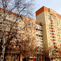 П-55